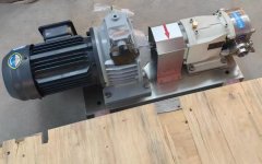 shampoo rotor pump